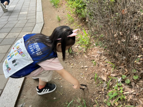 길음성가어린이집 이미지