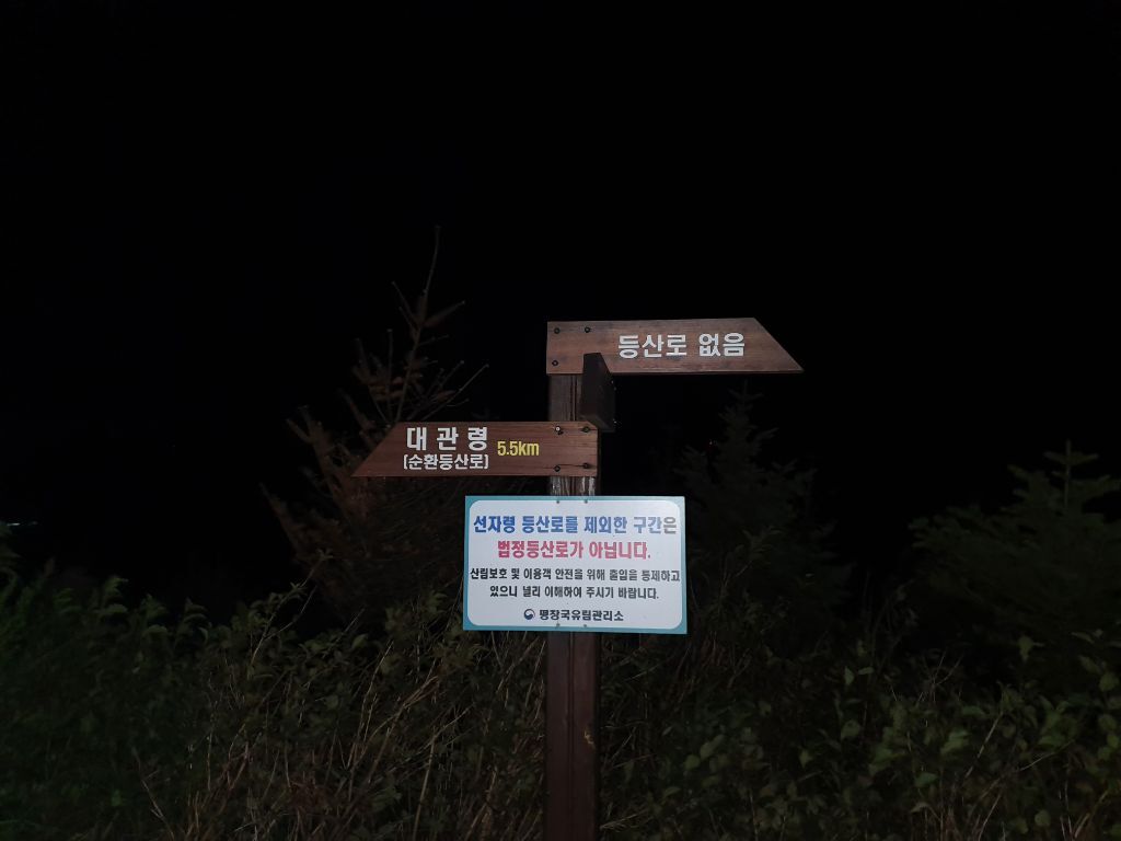 드림마운틴투어 이미지
