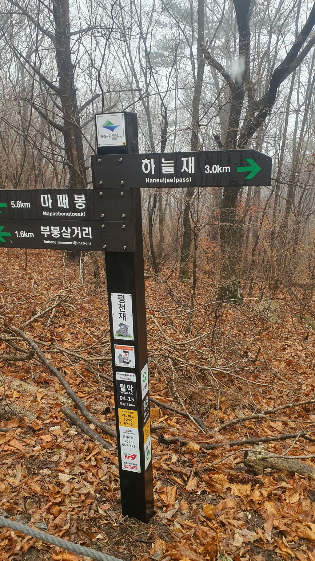 마운틴백두 이미지