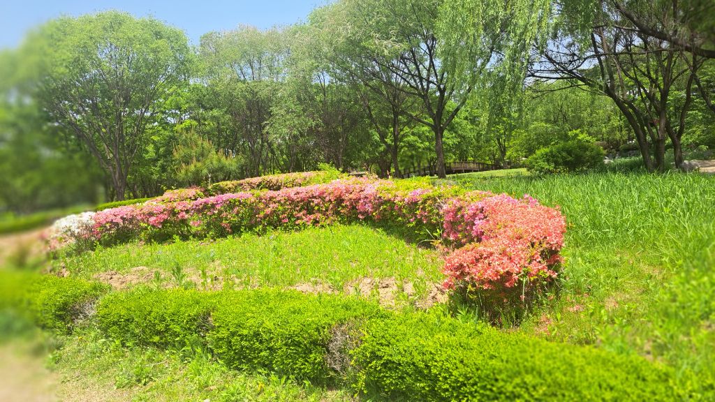창포원 이미지