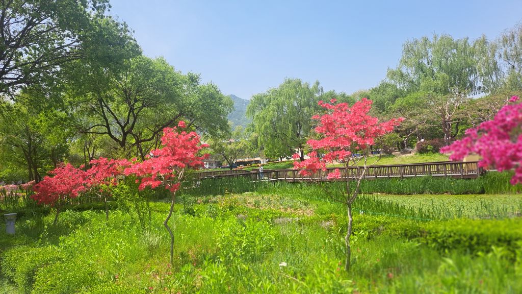 창포원 이미지