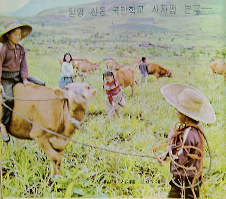모습 이미지