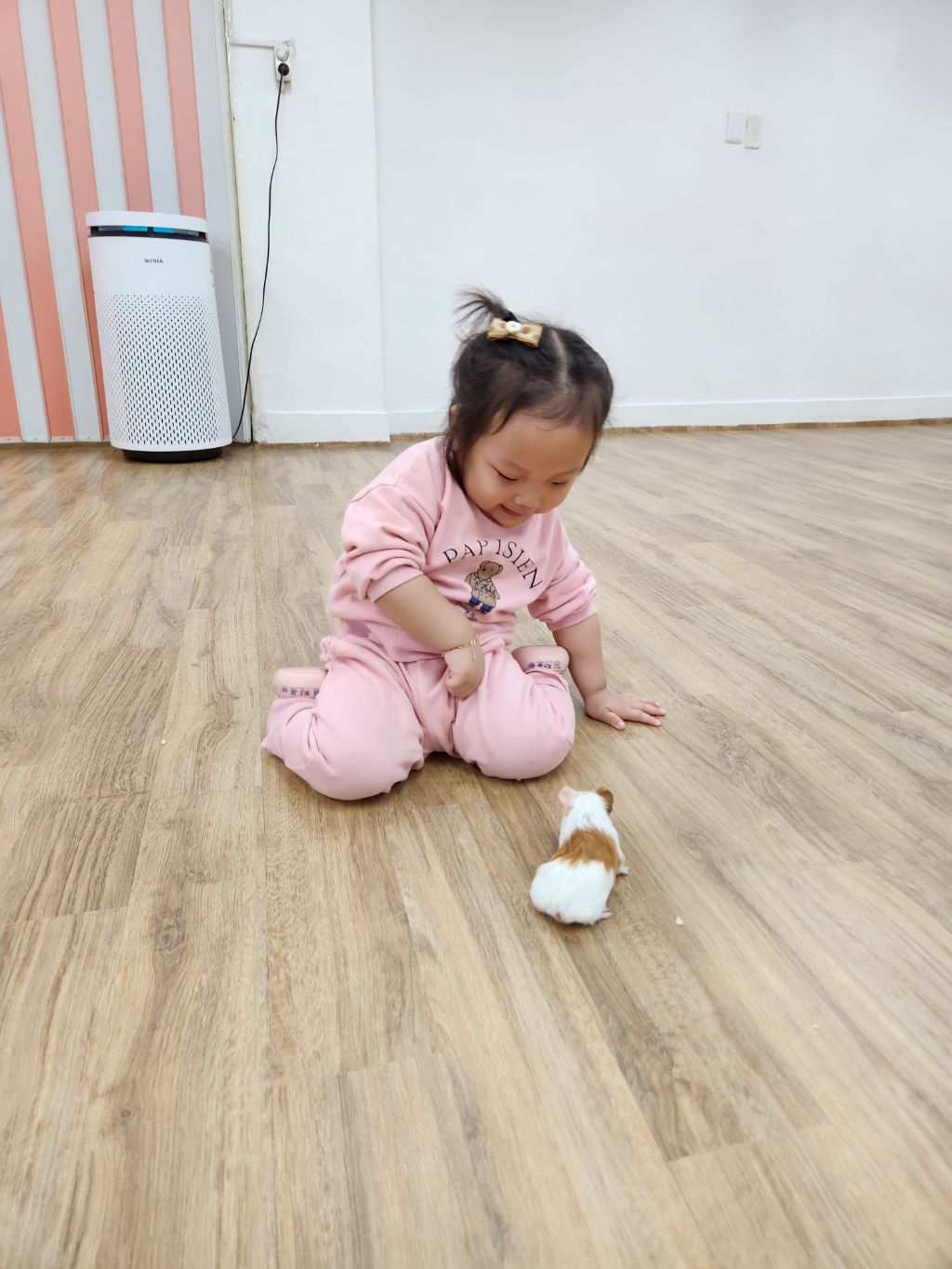 더프랜즈 이미지