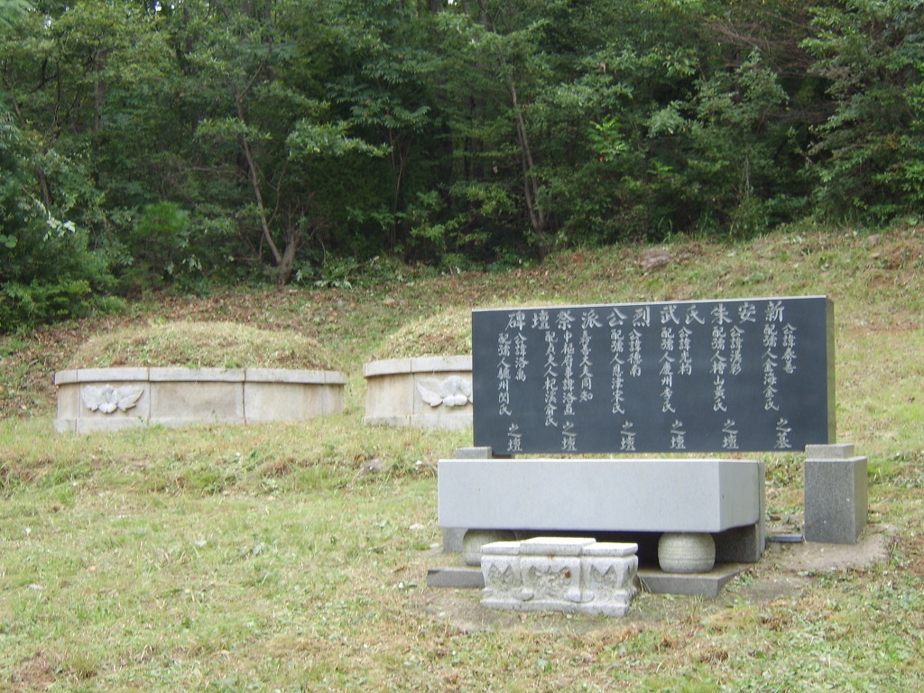 (주)주주투어 이미지