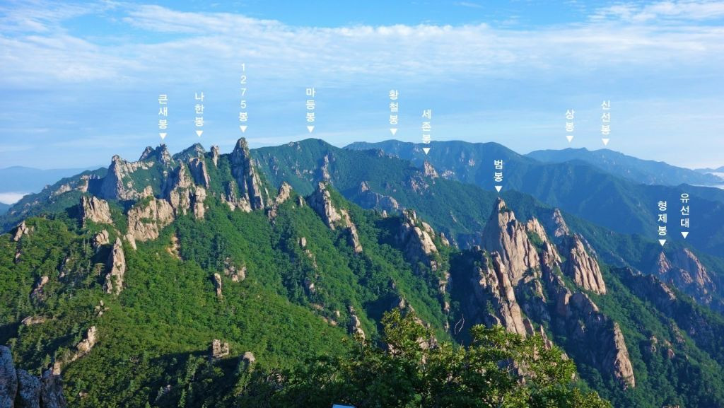 (주)온그린 이미지