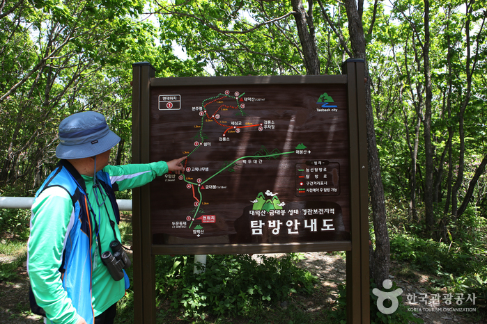 대덕산 정상 이미지