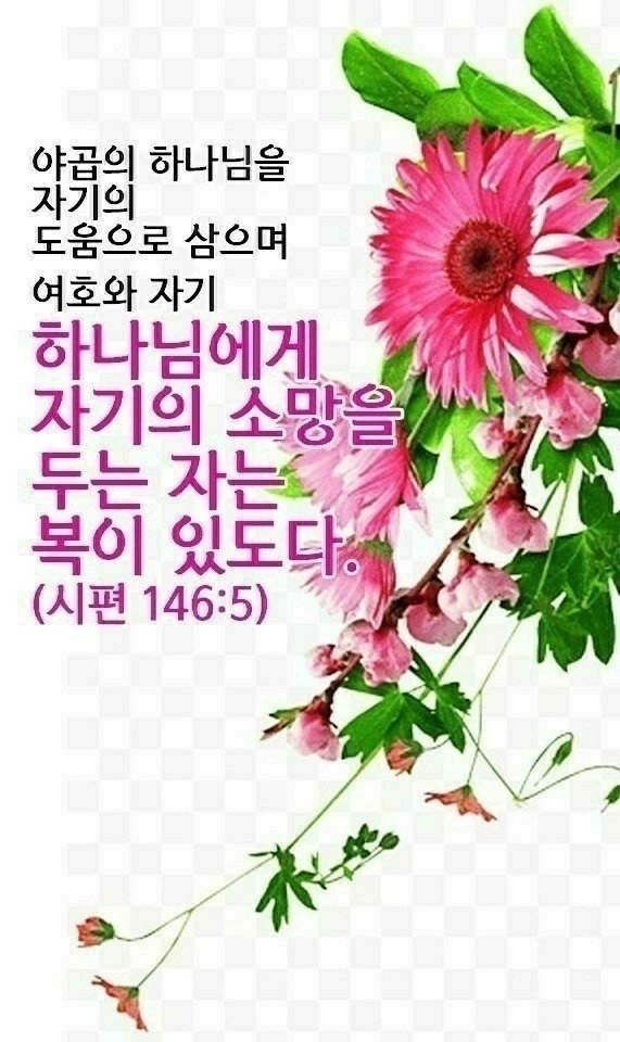 데이빗 이미지