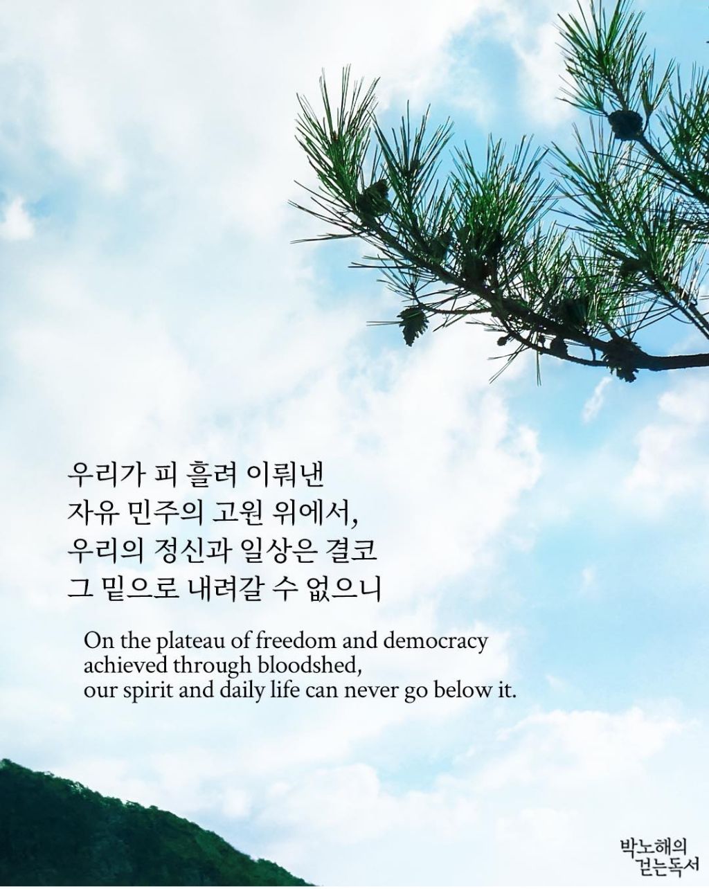 봄날에# 이미지