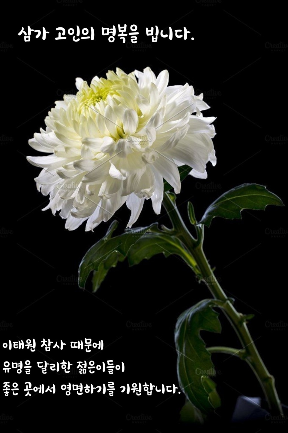 일화방 이미지