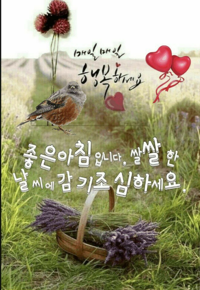 리제이 이미지