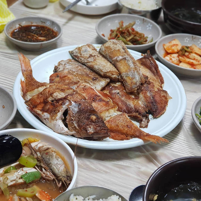 명자네 생물 이미지