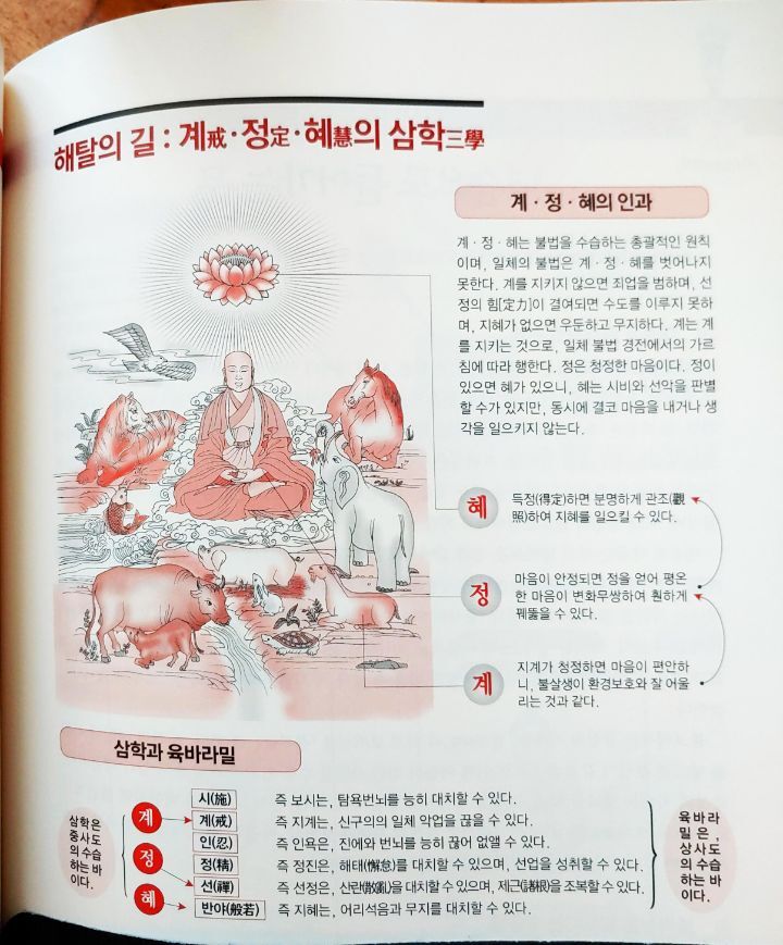 대승상사 이미지