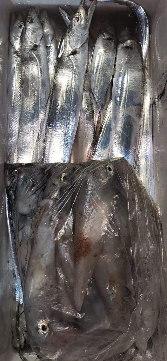 삼일낚시 이미지