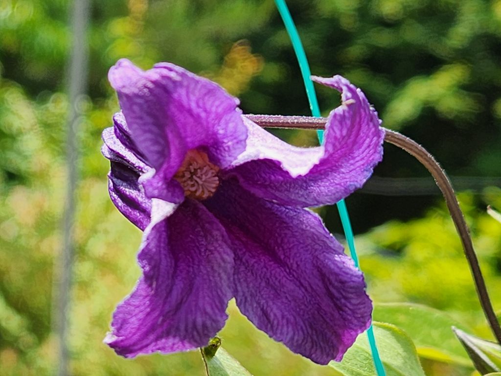 단지골 이미지