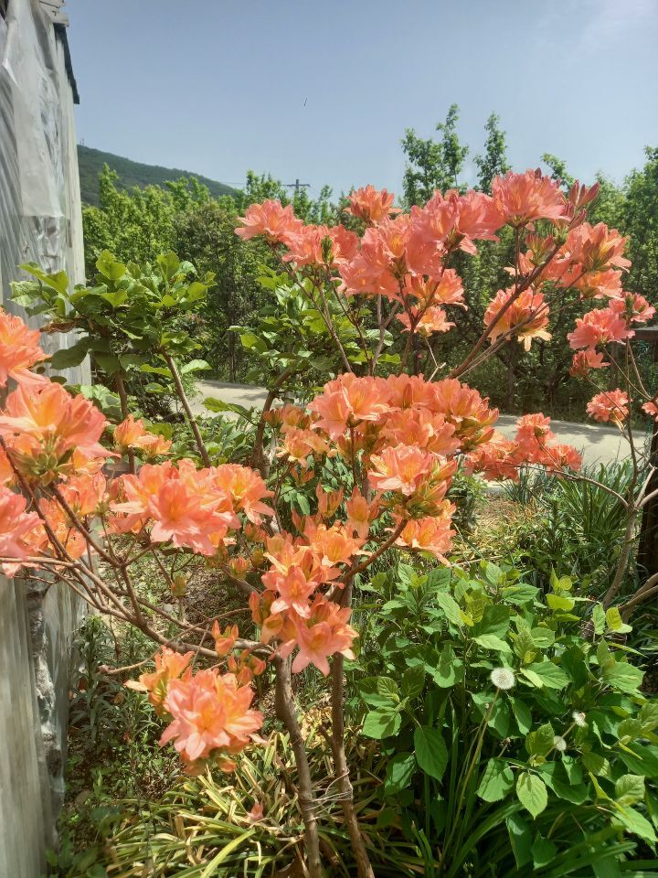 구봉화랑 이미지