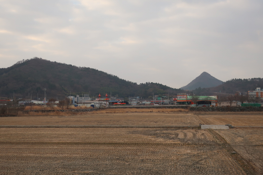 팔영농업협동조합 이미지