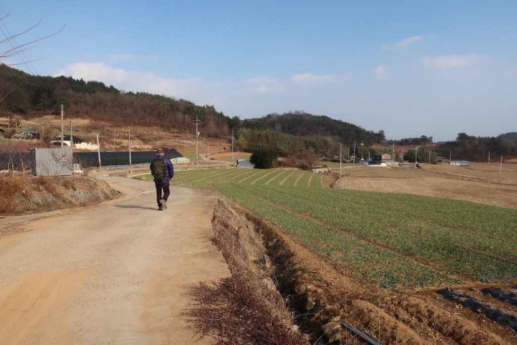 팔영농업협동조합 이미지