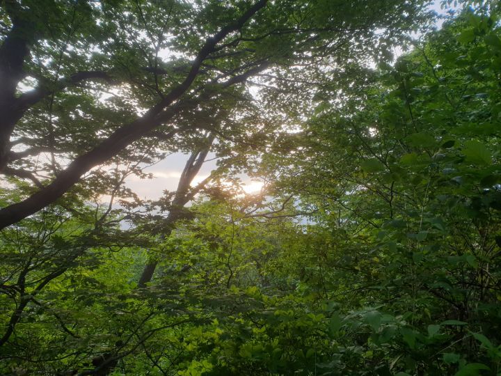 다웃는다 이미지