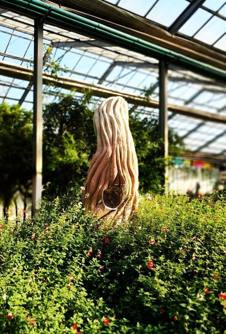 아산 세계꽃식물원 2 - 일반 게시판 - 발길이 머물렀던 곳 아산 세계꽃식물원 2