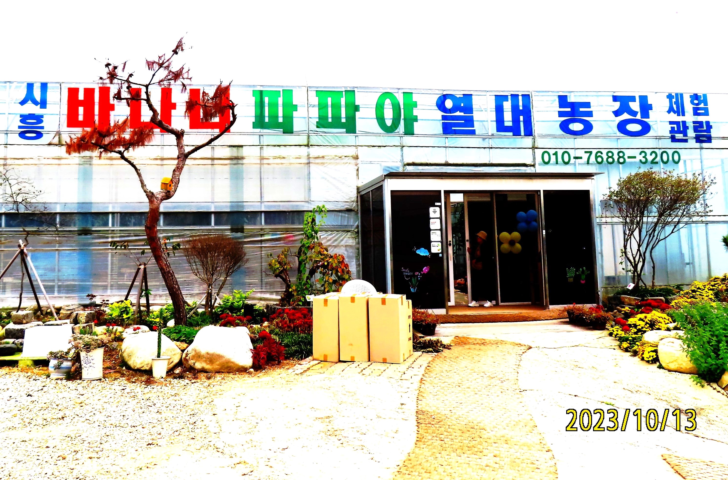 경기 시흥, 바나나파파야 열대농장 - 일반 게시판 - 발길이 머물렀던 곳 경기 시흥, 바나나파파야 열대농장