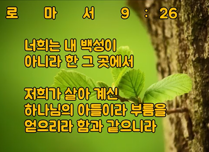 쁄라 이미지