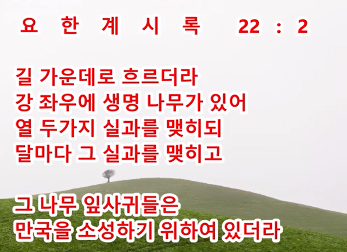 생명나무 이미지