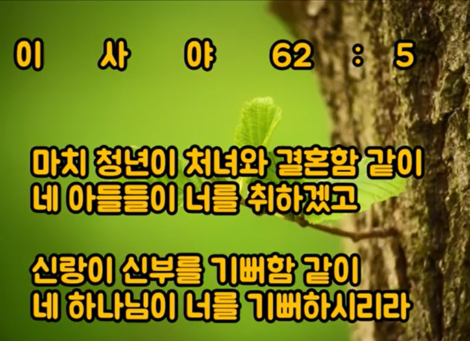 쁄라 이미지