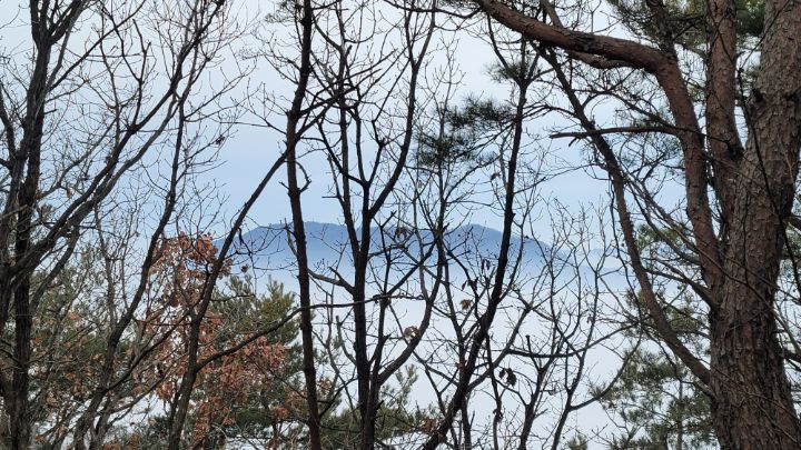 삼승 이미지