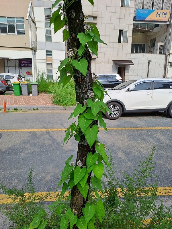 감로수 이미지