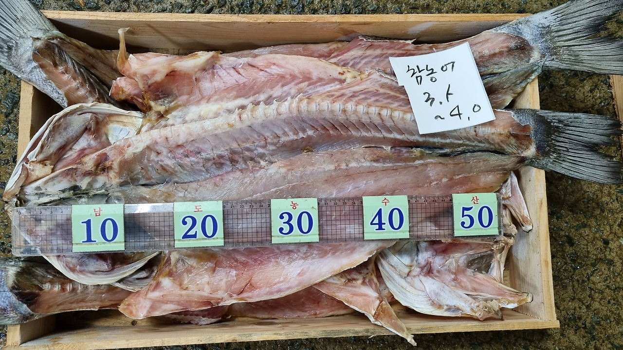 명자네 생물 이미지