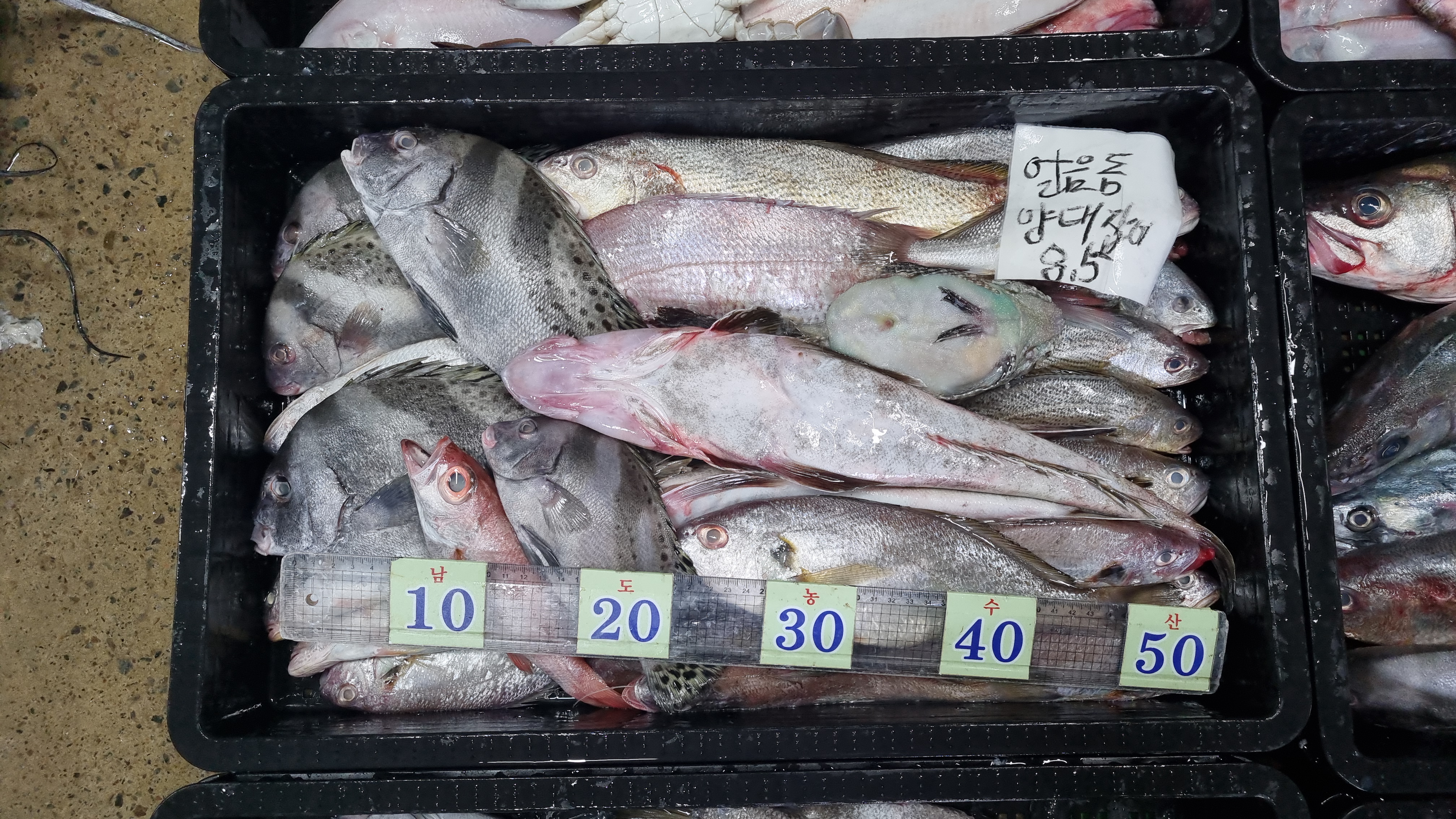 진광택 이미지