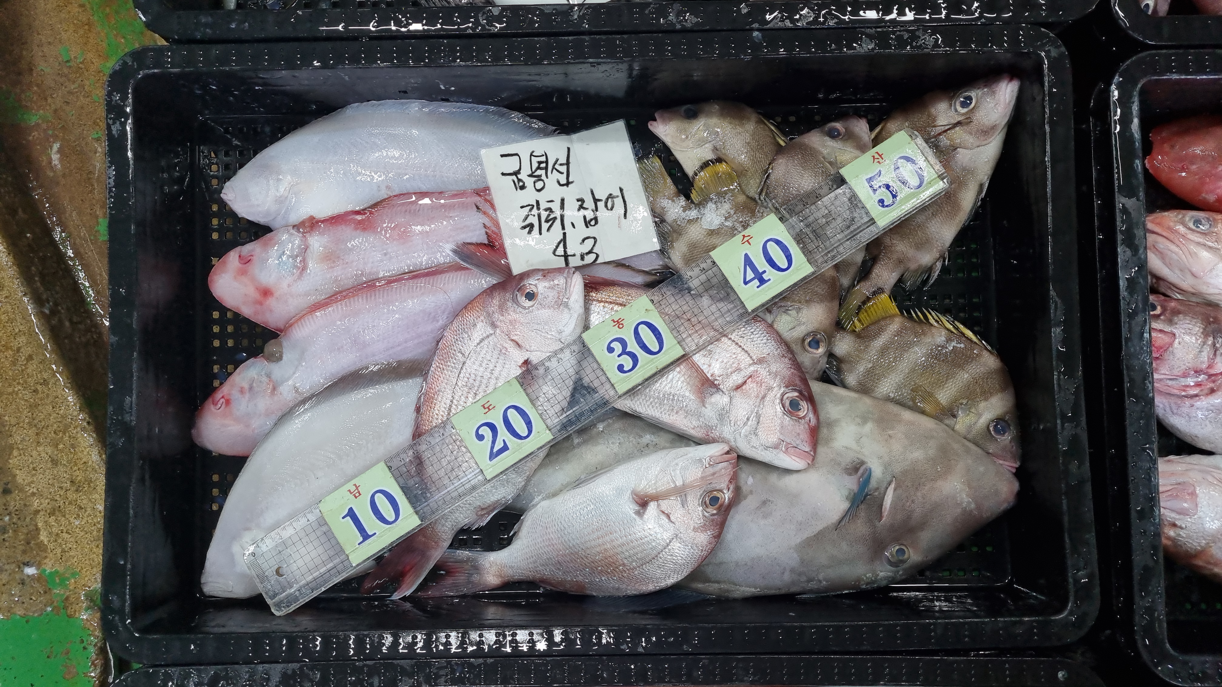 진광택 이미지