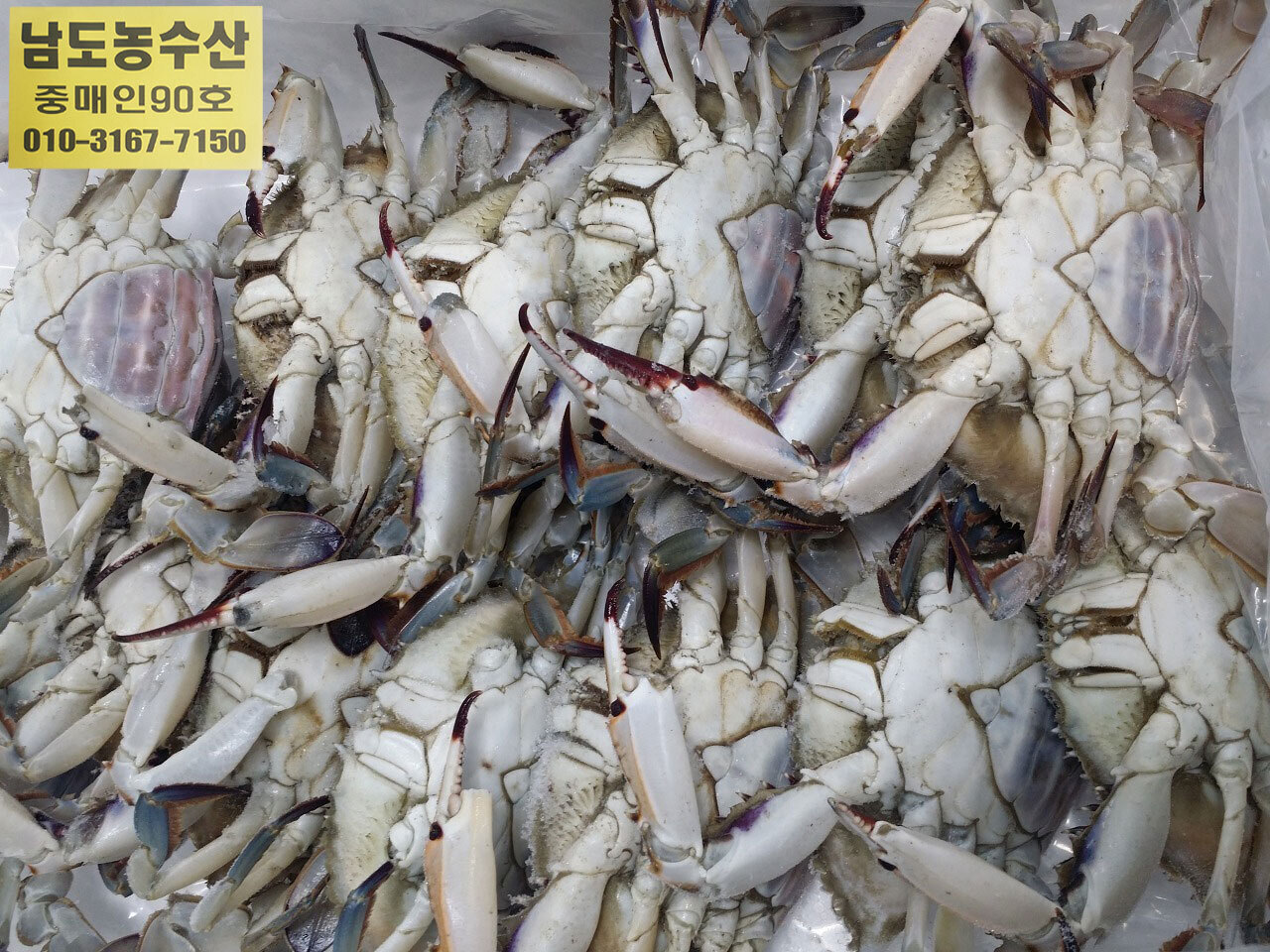 소래레 이미지