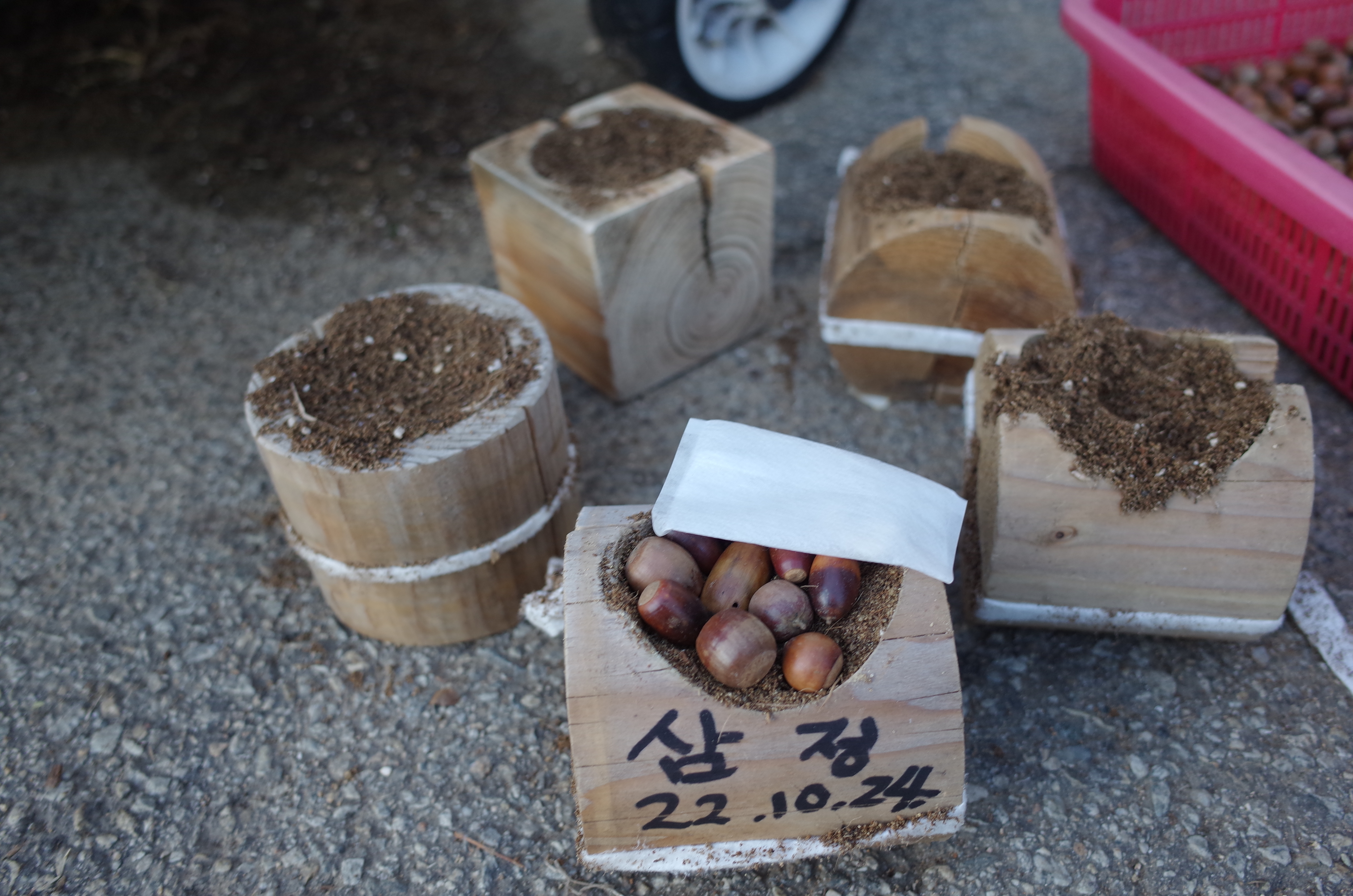 삼정회계법인 이미지