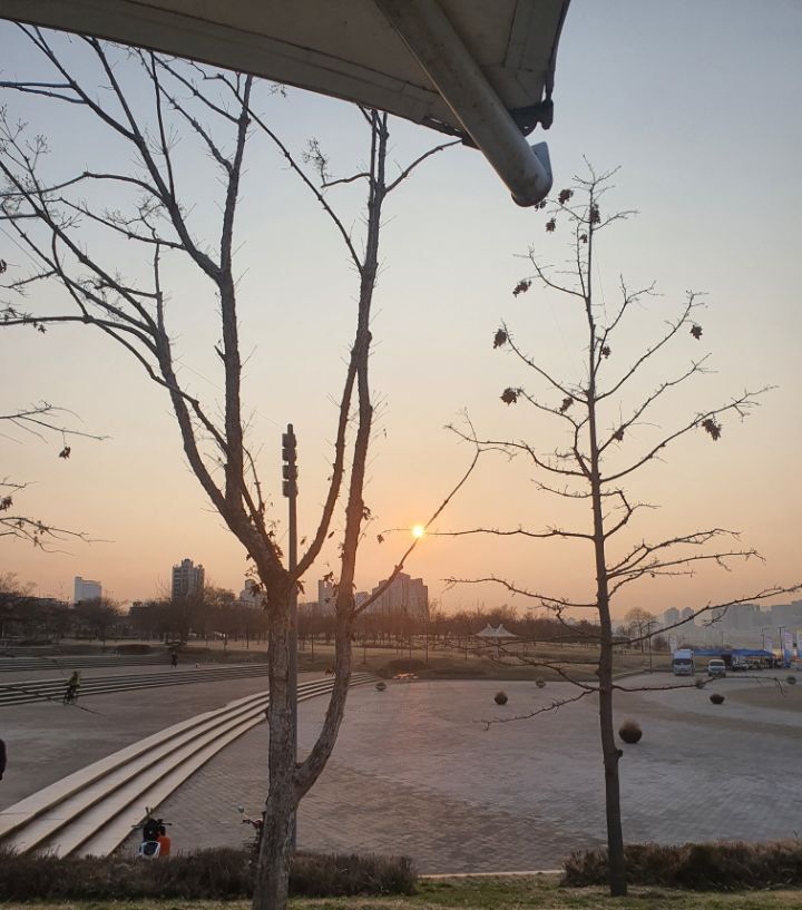 고수부지 이미지