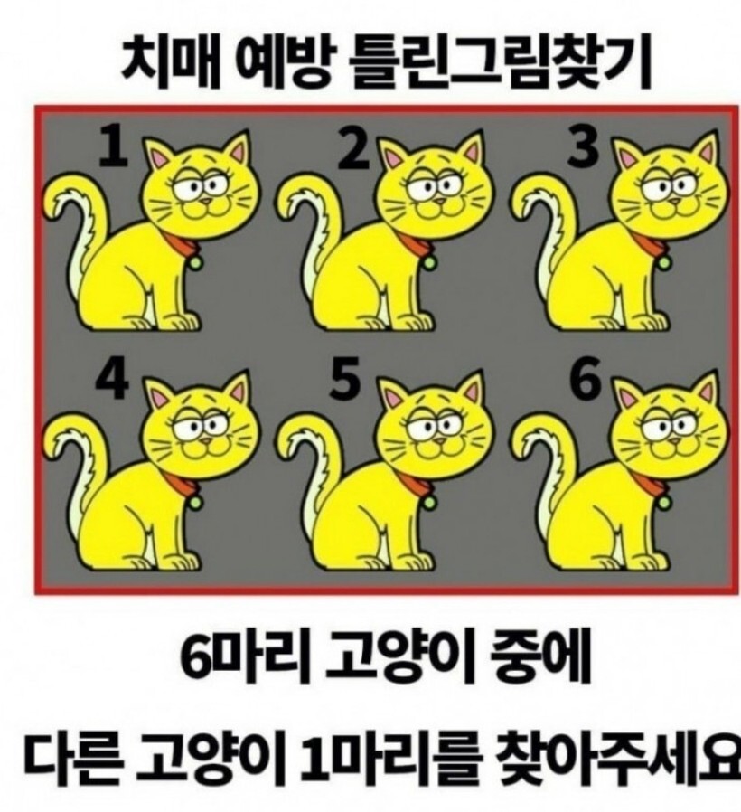 요거해 이미지