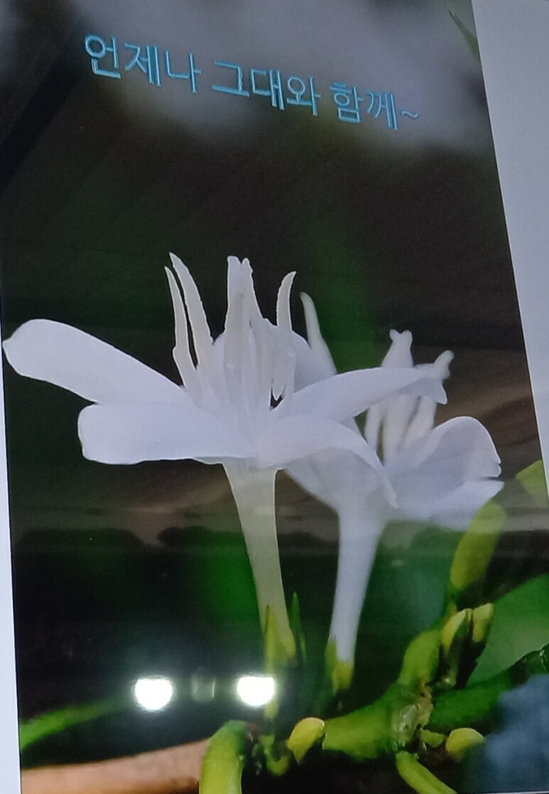 프레그런스커피 이미지