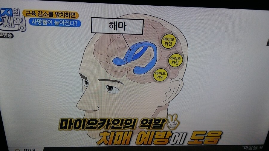 치유근육아카데미 이미지