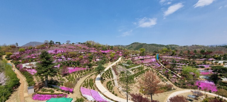 만트레이딩 이미지