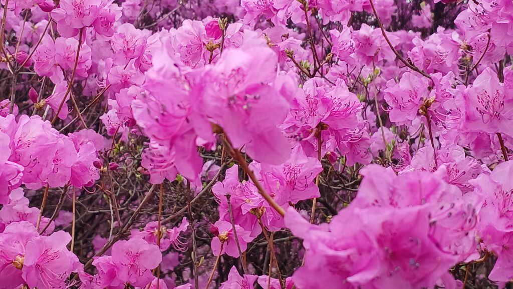 거성건설(주) 이미지