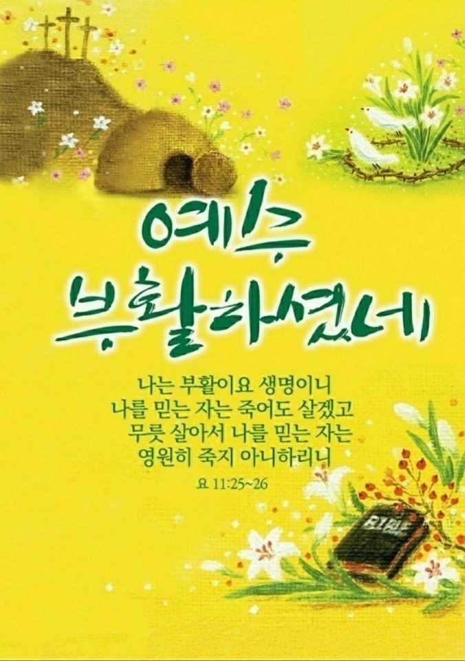 대한예수교장로회 새빛교회 이미지