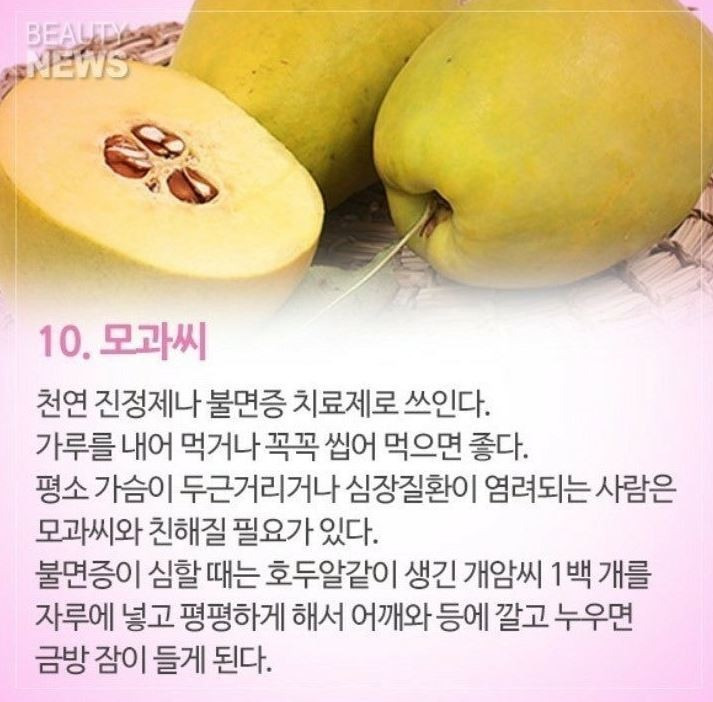 좋은씨앗 이미지