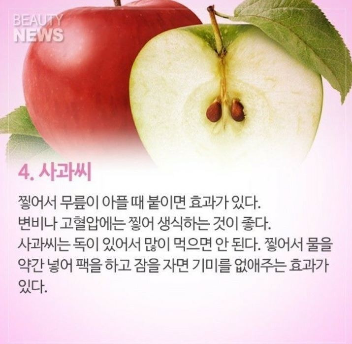 좋은씨앗 이미지