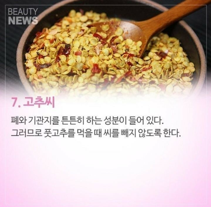 좋은씨앗 이미지