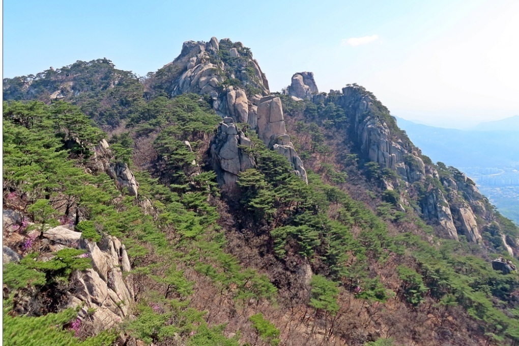 관우식품 이미지