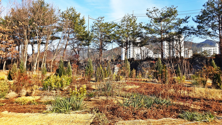창포원 이미지