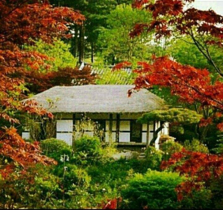 밝은생각 이미지