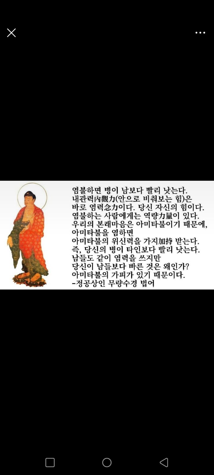 금상첨화 이미지