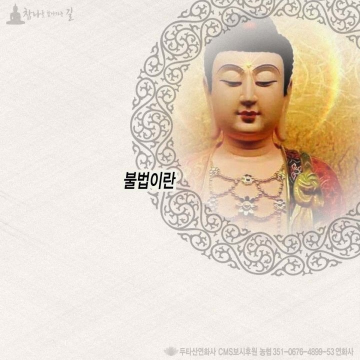 두두와도리 이미지
