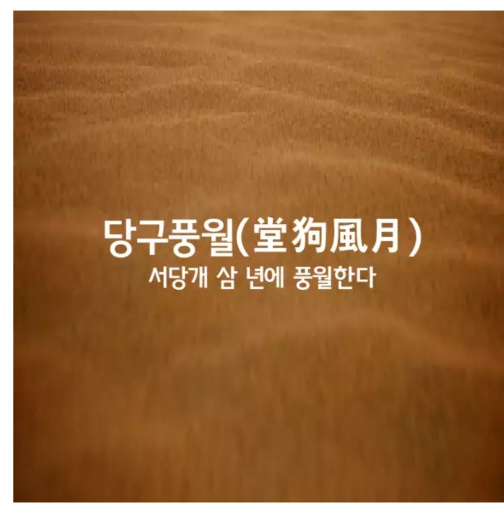당구풍월 이미지